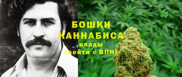 соль ск Арсеньев